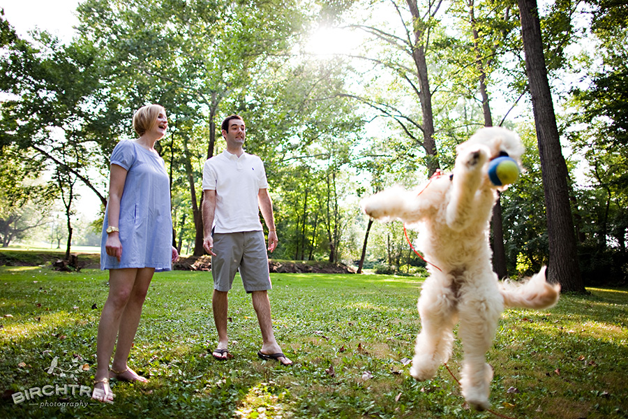 engagement photos with a dog