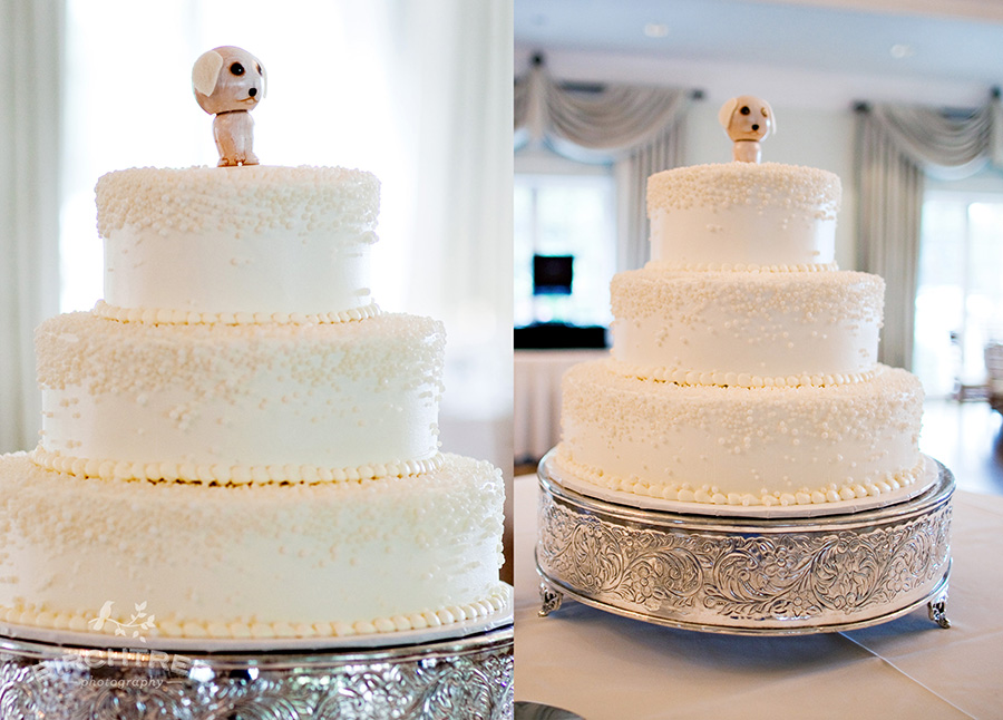 This clean and modern wedding cake was made by Cakes by Tammy for Elizabeth